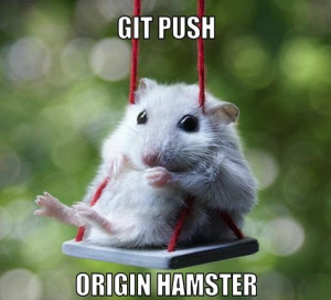 git push origin hamster